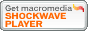 Macromedia Shockwave Player の最新版をインストール